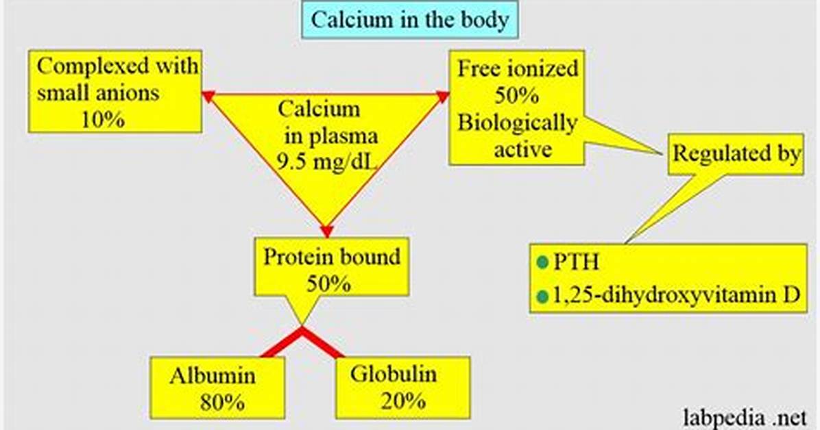 How Does Calcium Affect Coagulation
