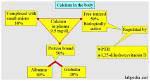 How Does Calcium Affect Coagulation