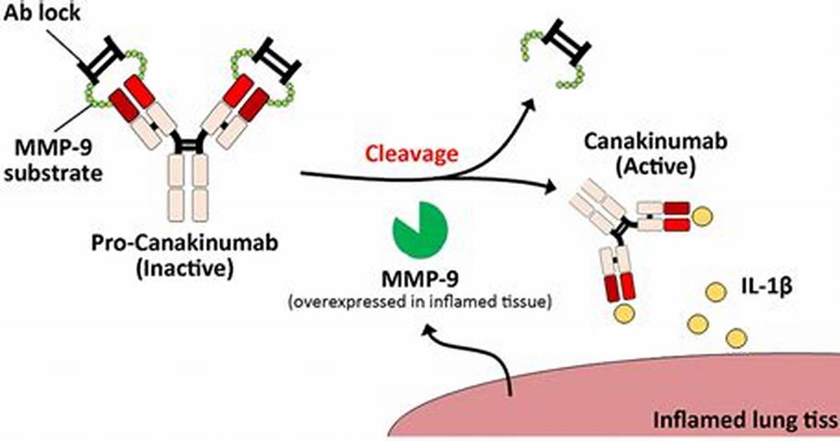 How Does Canakinumab Work