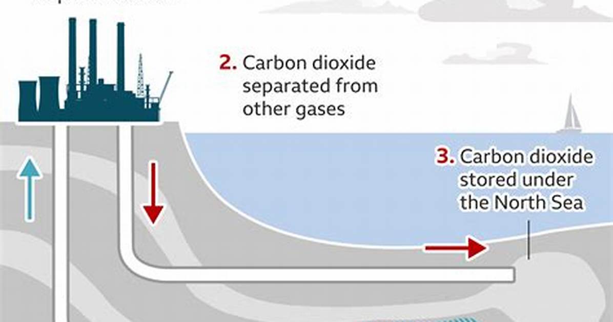 How Does Carbon Capture Work?
