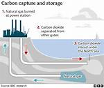 How Does Carbon Capture Work?