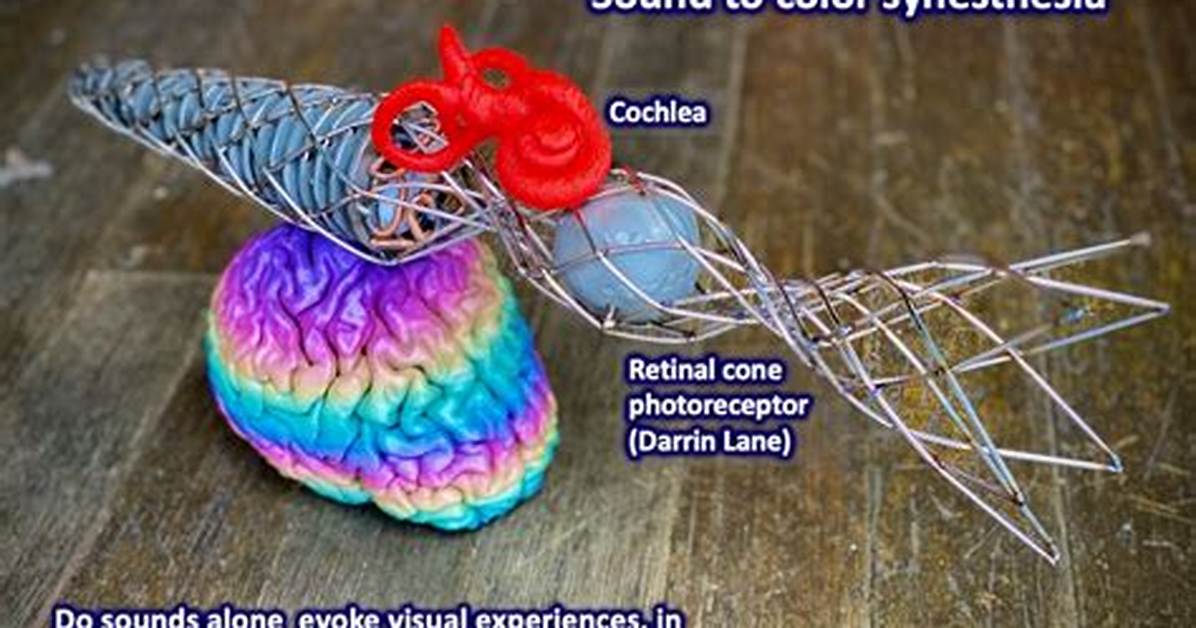 How Does Chromesthesia Work?