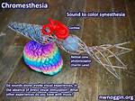 How Does Chromesthesia Work?