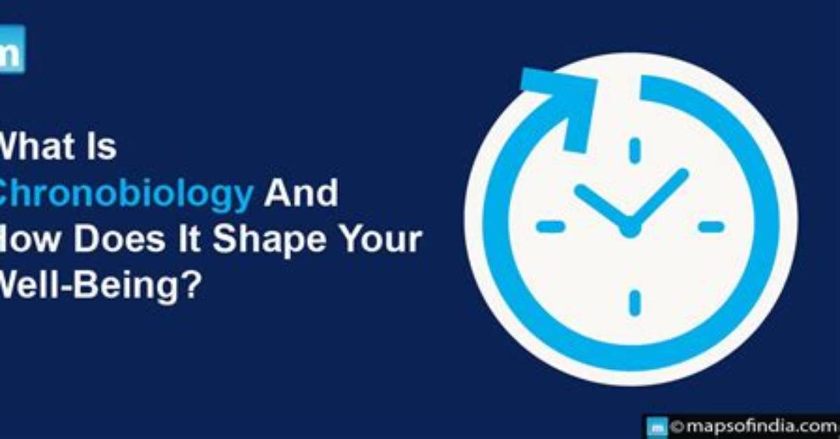 How Does Chronobiology Work?