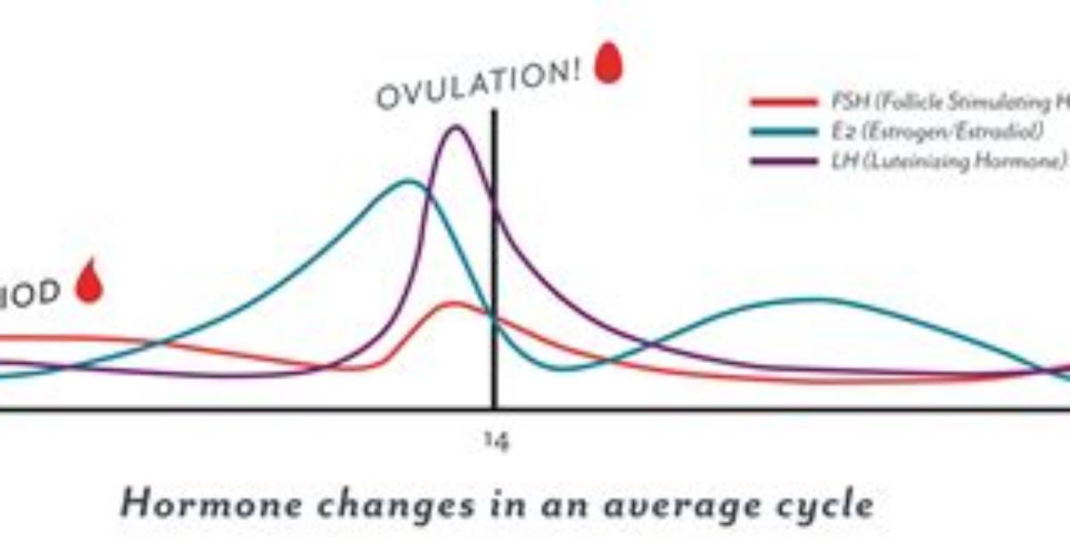 How Does Clued up Work?