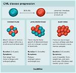 How Does Cml Occur? | Contextresponse. Com