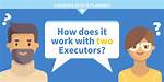 How Does Co Executors Work?