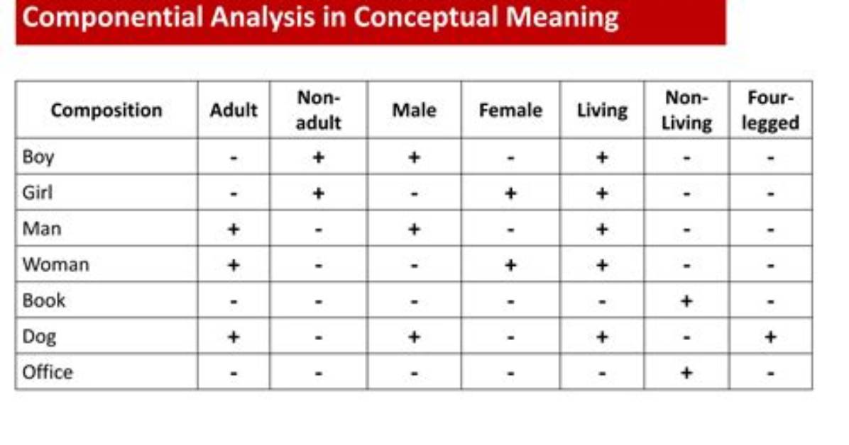 How Does Componential Analysis Work?
