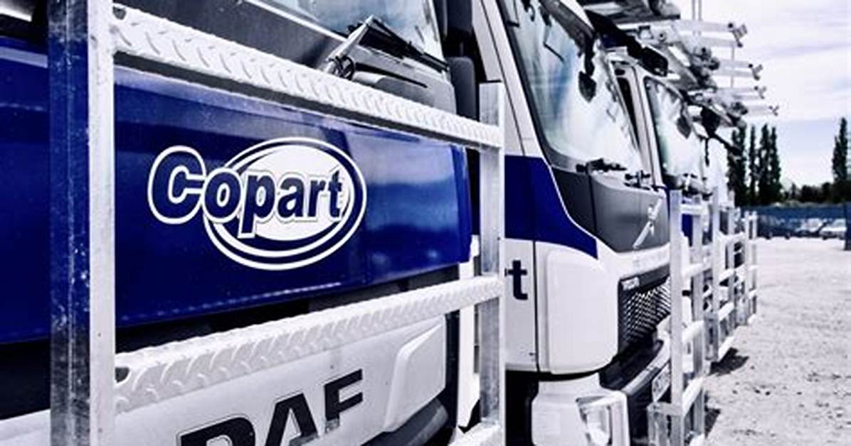 How Does Copart Work?