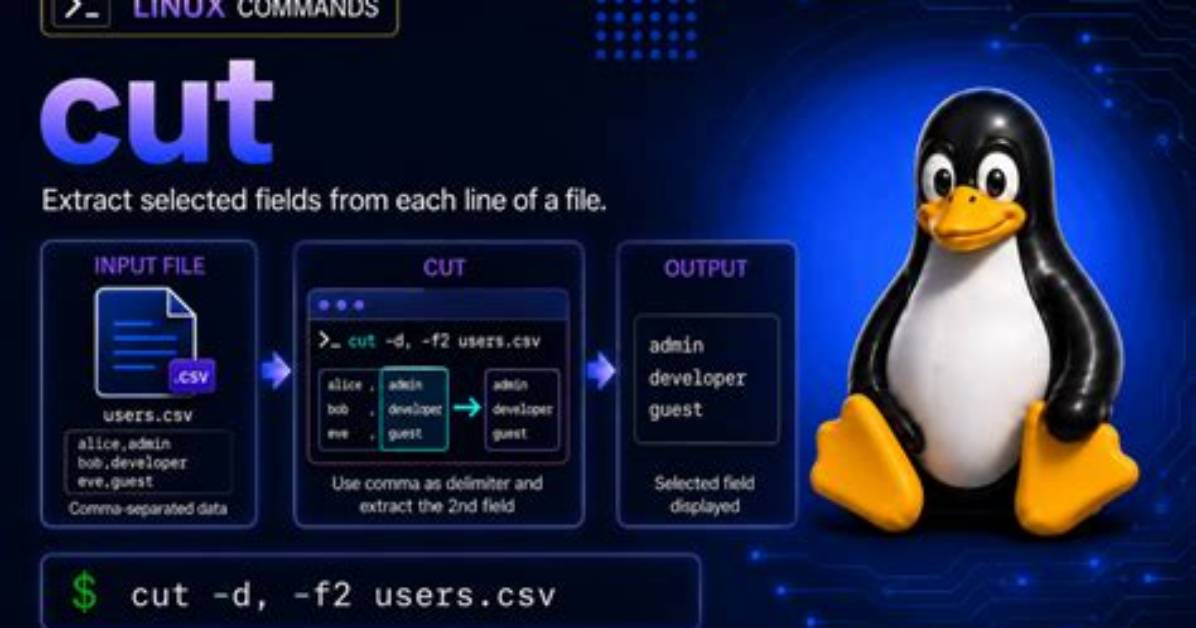 How Does Cut Work in Linux?
