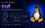 How Does Cut Work in Linux?
