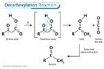 How Does Decarboxylation Work?
