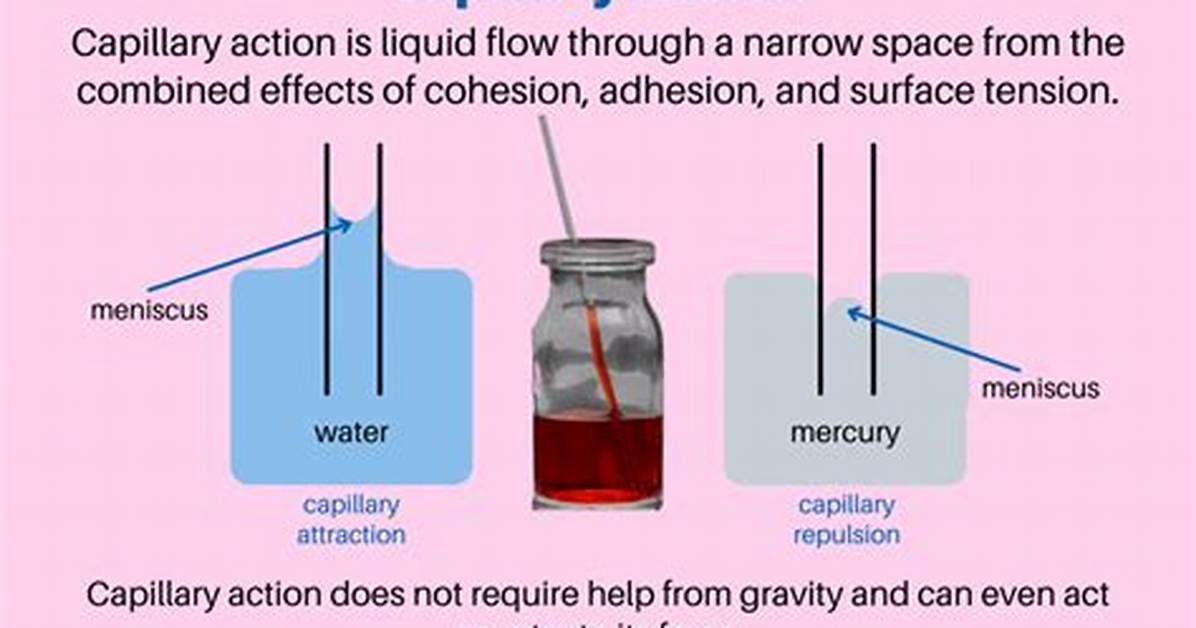 How Does Density Affect Capillary Action