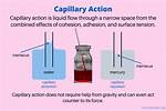 How Does Density Affect Capillary Action