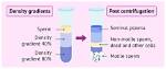 How Does Density Gradient Centrifugation Work?