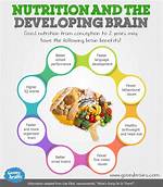 How Does Diet Affect Brain Development