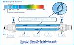 How Does Disinfection Work?