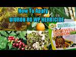 How Does Diuron Work?