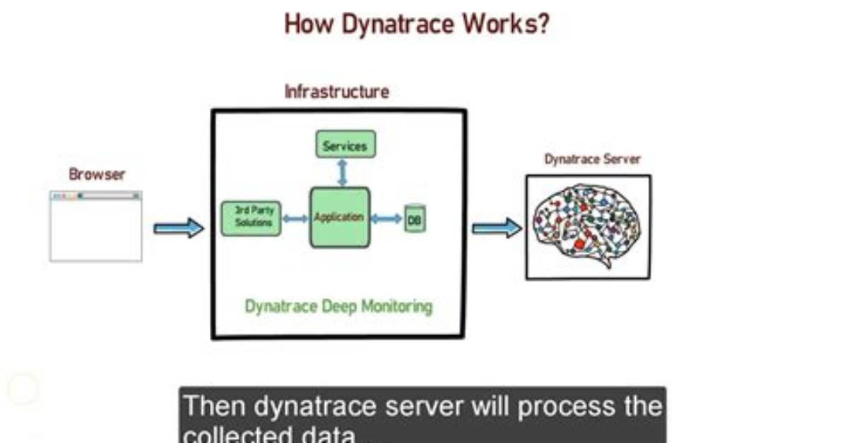 How Does Dynatrace Work