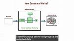 How Does Dynatrace Work