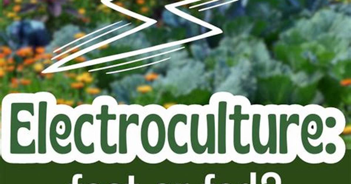 How Does Electroculture Work?