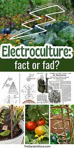 How Does Electroculture Work?