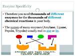 How Does Endoenzyme Work?