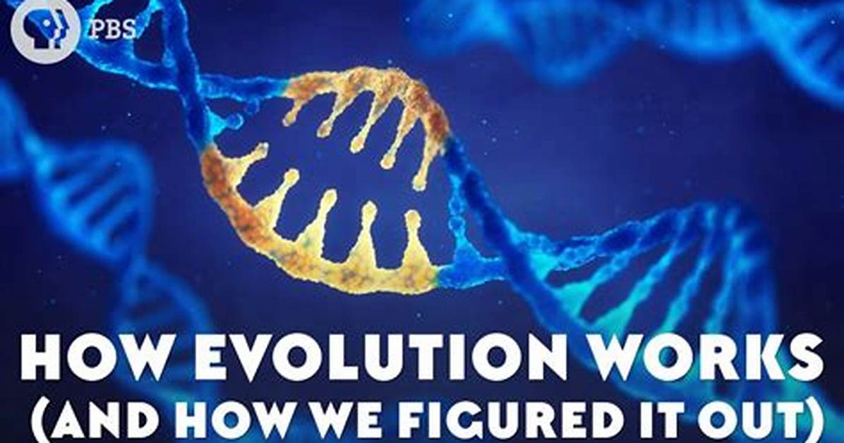 How Does Evolution Really Work?