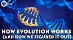 How Does Evolution Really Work?