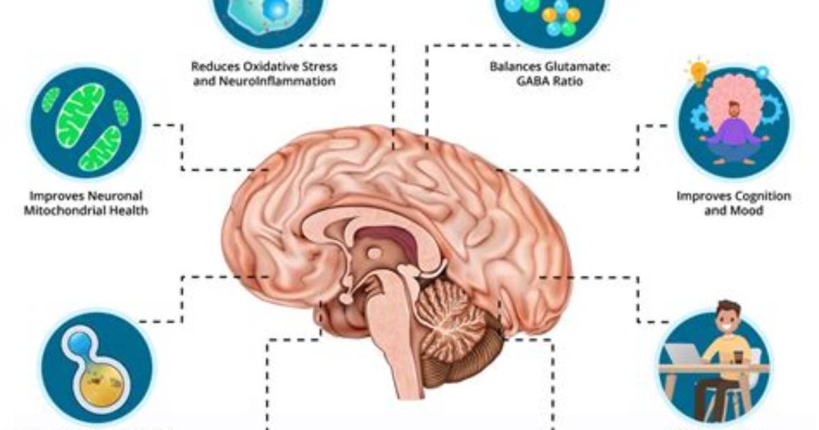 How Does Fasting Affect Your Brain?