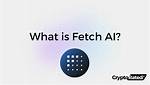 How Does Fetch Work