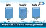 How Does Flocculation Work?
