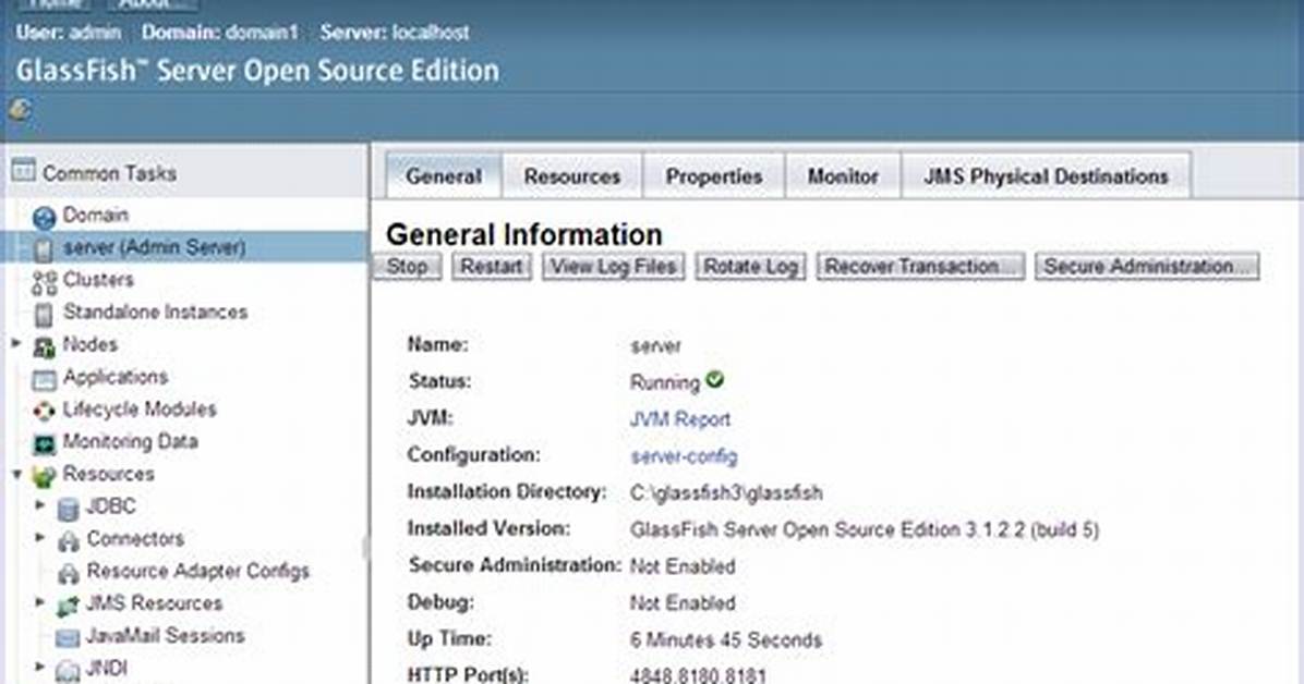 How Does Glassfish Work?