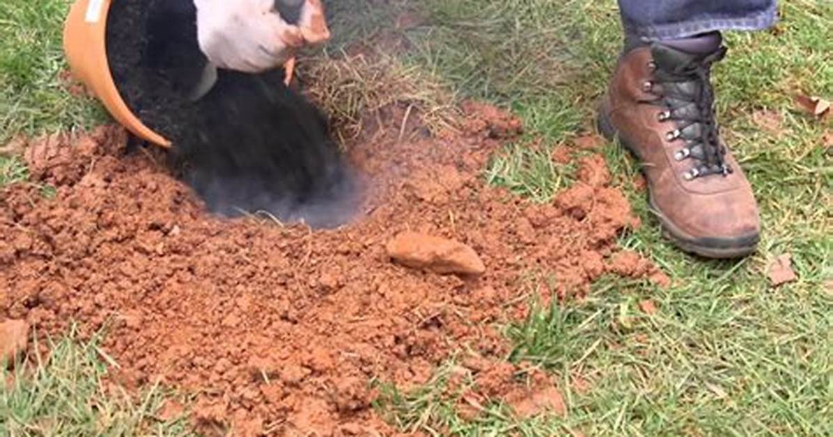 How Does Gopher Gasser Work?