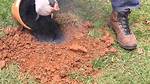 How Does Gopher Gasser Work?