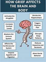 How Does Grief Affect the Brain