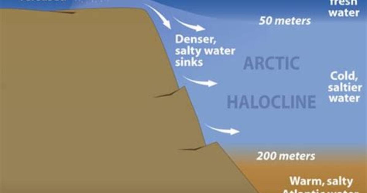How Does Halocline Form?