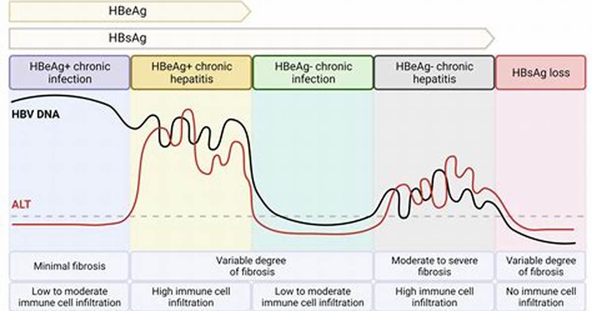 How Does Hbsag Spread