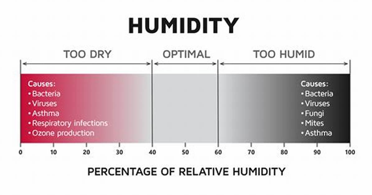 How Does Humidity Affect Vegetation