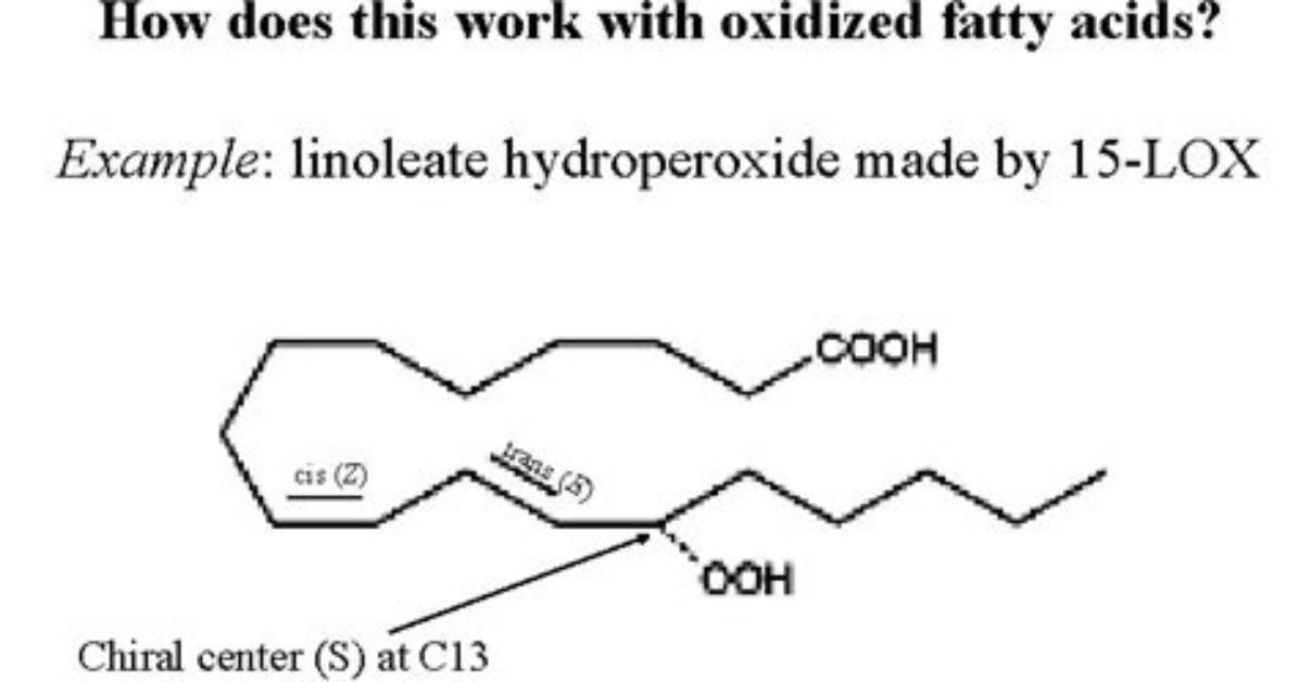 How Does Hydroperoxide Work?