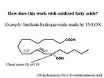 How Does Hydroperoxide Work?