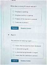 How Does Iki Reagent Work