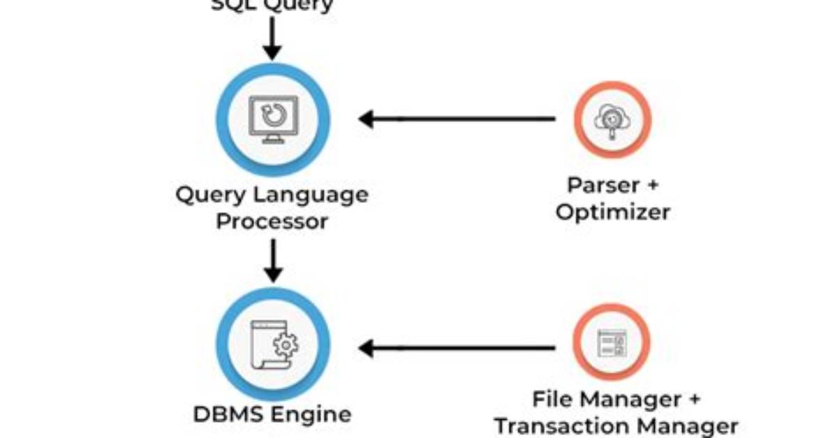 How Does in Work in Sql