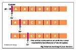 How Does Iterator Work in Java