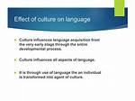 How Does Language Influence Communication?