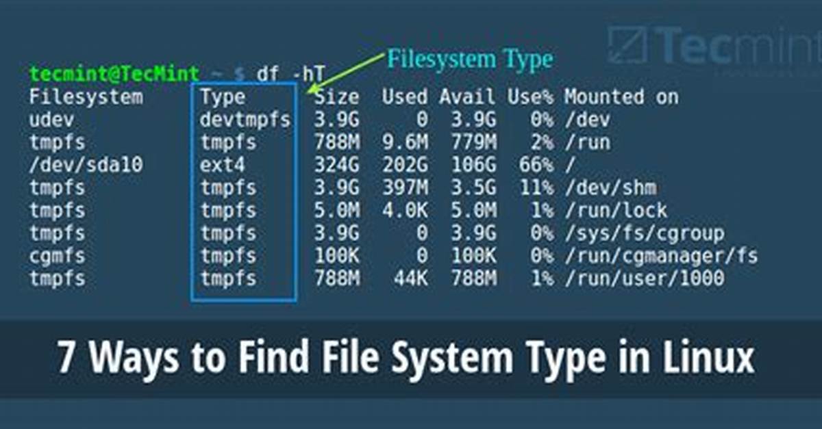 How Does Linux Determine File Type?