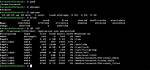 How Does Linux Server Work?