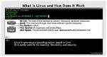 How Does Linux Shell Work?