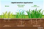 How Does Liquid Styptic Work