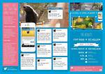 How Does Live Tweeting Work?